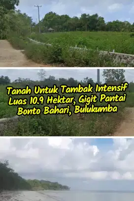 TANAH GIGIT PANTAI 11 HEKTAR (BONTOBAHARI, BULUKUMBA) BISA CASH TEMPO