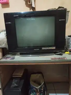 Tv polytron 21