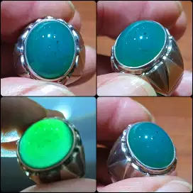 Bacan Doko Bluish Lawas