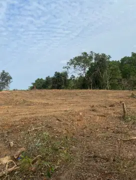 Tanah Dekat IKN Lokasi Strategis