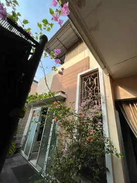 Rumah cantik The Green BSD jual cepat