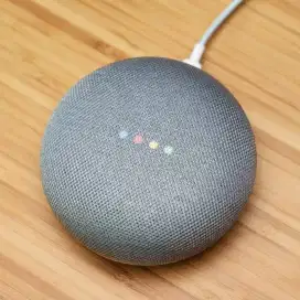 Google Home Google Nest Mini