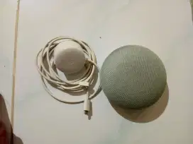 Google Home Google Nest Mini