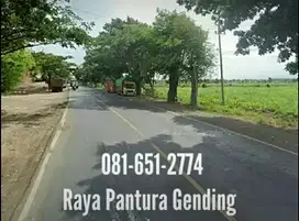 Tanah di Probolinggo Raya Gending