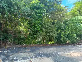 Dijual Tanah daerah Bunaken