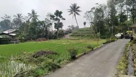 AIR BESAR BENING || LUAS TANAH SAWAH 1000M².