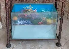 Di jual aquarium / akuarium ukuran 50cm