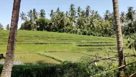 Tanah Pink Zone dekat Pantai Balian Bali