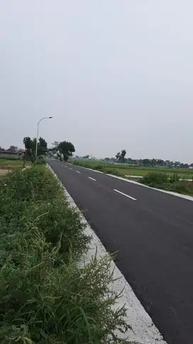 Sawah murah dijalan lingkar delanggu klaten