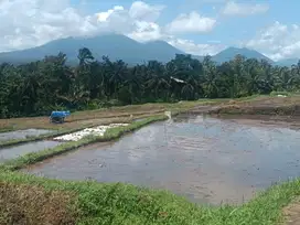 Sawah cocok untuk villa view gunung, sawah di Rejasa Penebel