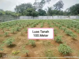 Di jual tanah kebun murah Lt 100 mtr Harga 70 juta