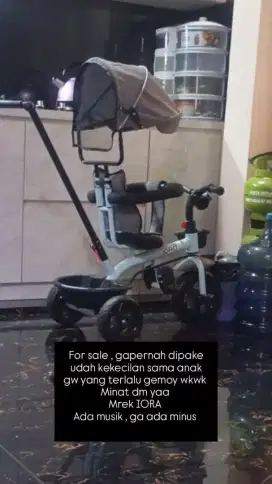 Sepeda Anak Mrek IORA