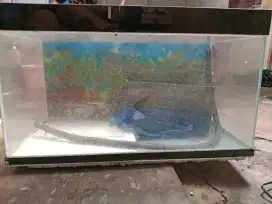 Aquarium ikan sedang