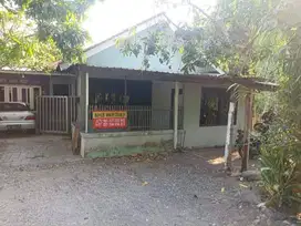 Rumah dikontrakkan per bulan/tahun