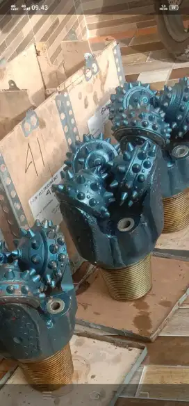 Drill bit rotary drill