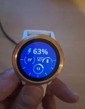 Garmin vívoactive 3