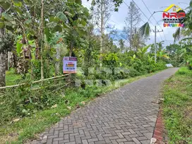 Dijual Tanah Kebun Durian di Licin - Banyuwangi