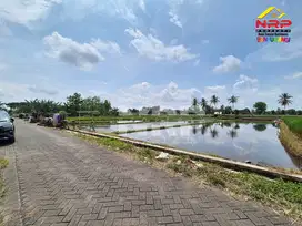 Dijual Tanah di Desa Parijatahkulon, Srono - Banyuwangi