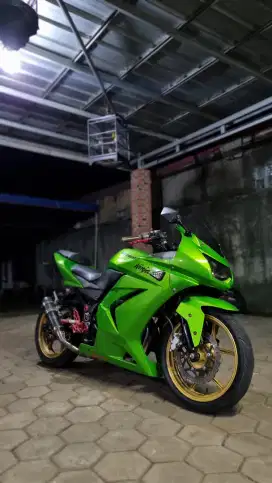 Kawasaki Ninja 250 Karbu