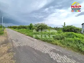 Dijual Tanah di Desa Kemiri, Singojuruh - Banyuwangi