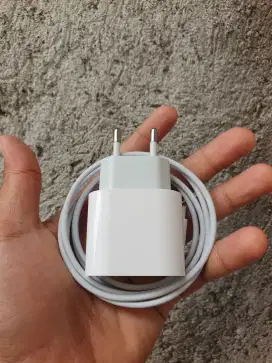 Charger iPhone Fast Charging