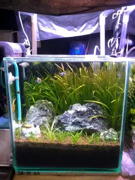 AQUASCAPE AQUARIUM 30CM