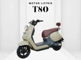 MOTOR LISTRIK UWINFLY T80