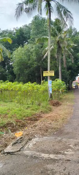 dijual tanah/pekarangan murah