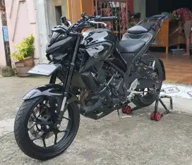 Yamaha New MT25 Facelift