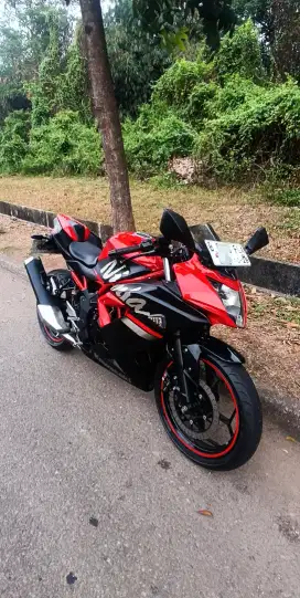 Ninja 250 SL Mono 2019