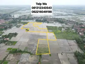 DIJUAL MURAH TANAH SAWAH PRODUKTIF, SHM DEKAT PEMUKIMAN & JALAN