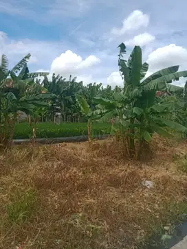 Dijual Tanah Darat Wanasari Cibitung Bekasi