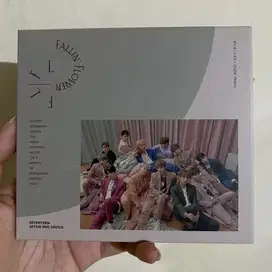 Album seventeen fallin flower