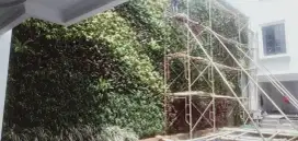Taman hias vertikal garden