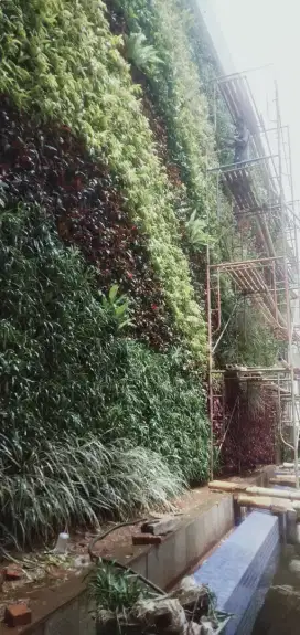 Taman indah Vertical garden