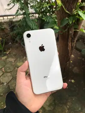 iphone xr 128gb ibox