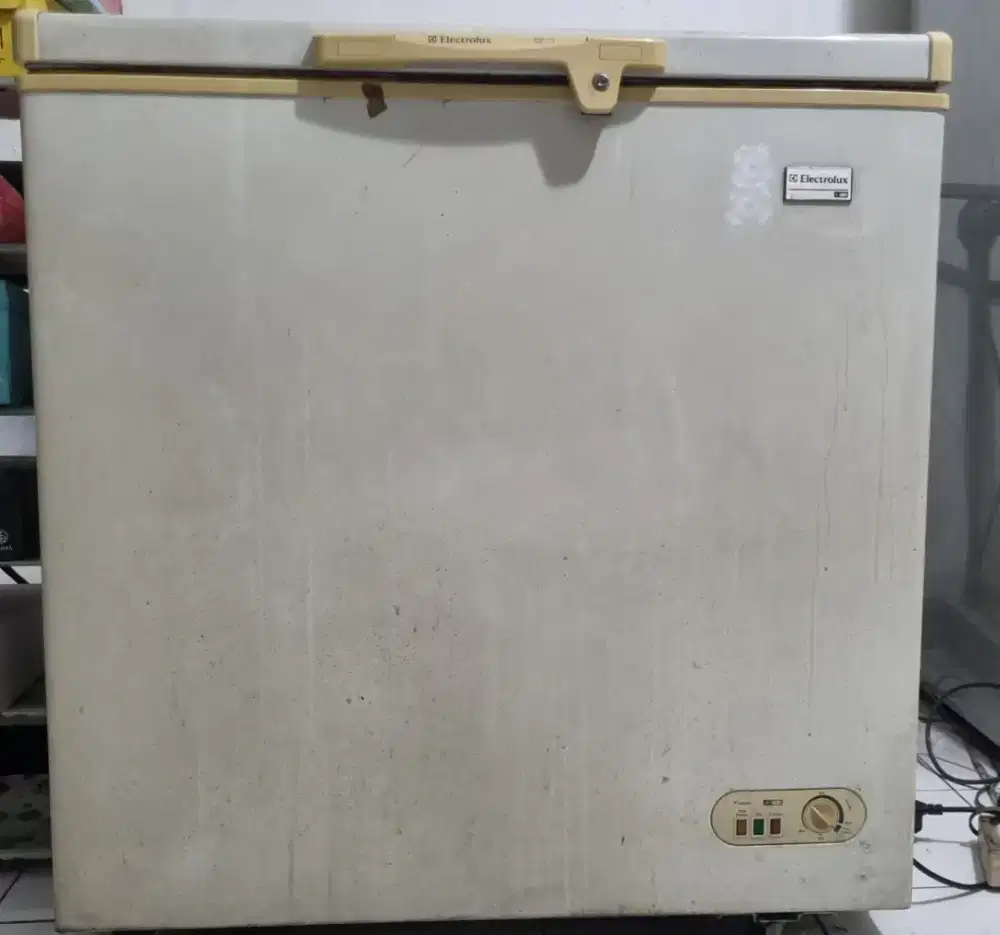 Freezer Electrolux