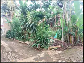 Dijual tanah murah banget lagi BU