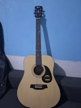 Gitar cord Akustik & Elektrik