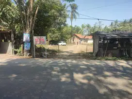 JUAL TANAH MURAH - LOKASI SUKADIRI