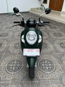 Scoopy prestige 2024