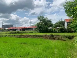 Dijual cepat 2 petak tanah sawah produktif di carawali palakka