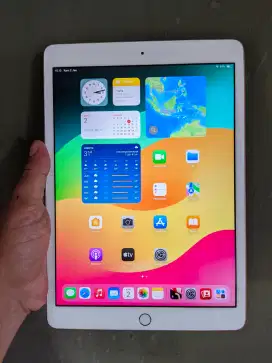 iPad gen 8 32gb wifi only mulus