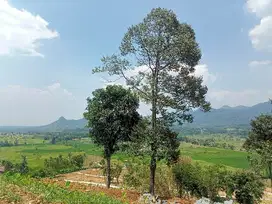 Tanah kavling villa wisata view pegunungan di Bogor