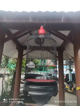 Kandang Lovebird Ebod+ Kerodong mulus