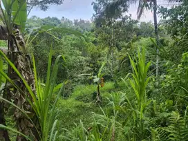 Tanah los sungai dan view jungle, akses jalan 4 meter di Ubud