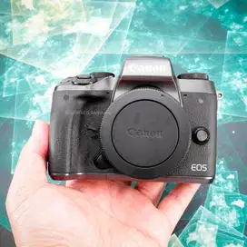 Canon EOS M5 Body. Murah Sekali