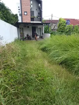 Pemotongan rumput liar - pemotongan rumput - perapihan lahan