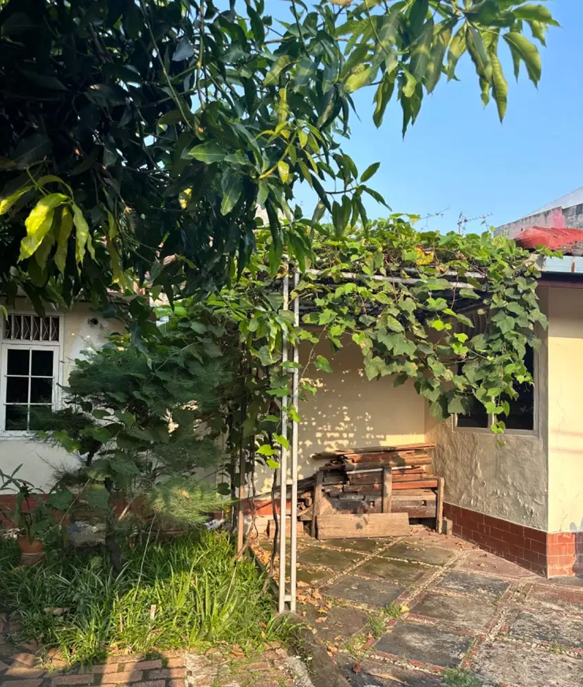 Dijual rumah taman luas dan asri