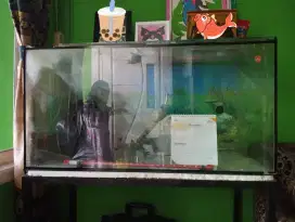 Aquarium kaca 100X50X50 + Meja Besi